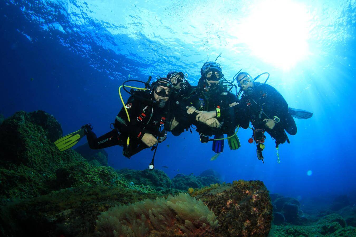 Centro de buceo Arrecifal
