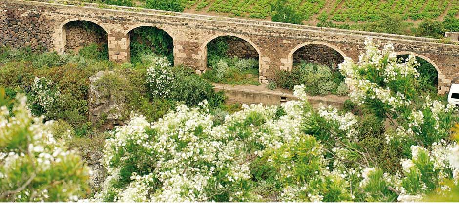 Botanická zahrada Viera y Clavijo Muzea a turistická centra na Gran Canaria