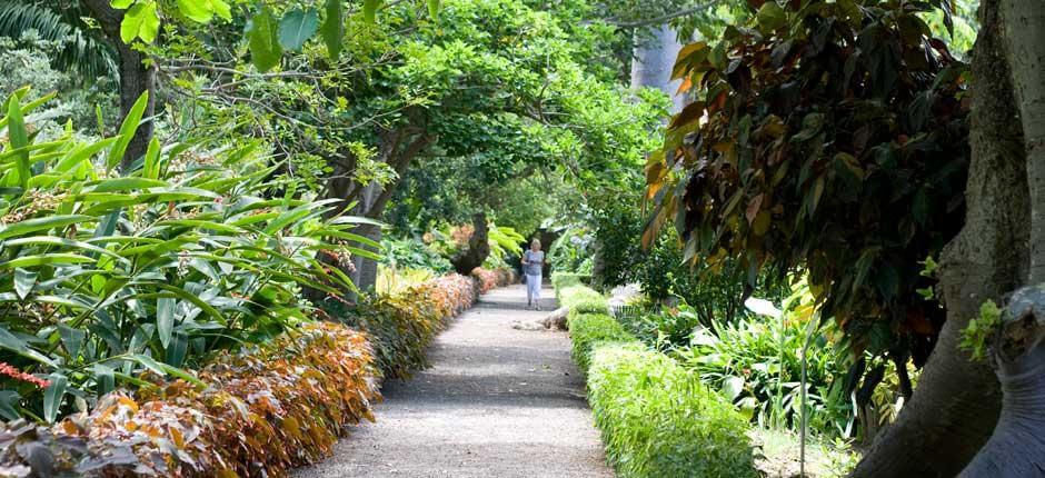 Aklimatizační zahrada La Orotava, Tenerife, Muzea a turistická centra na Tenerife