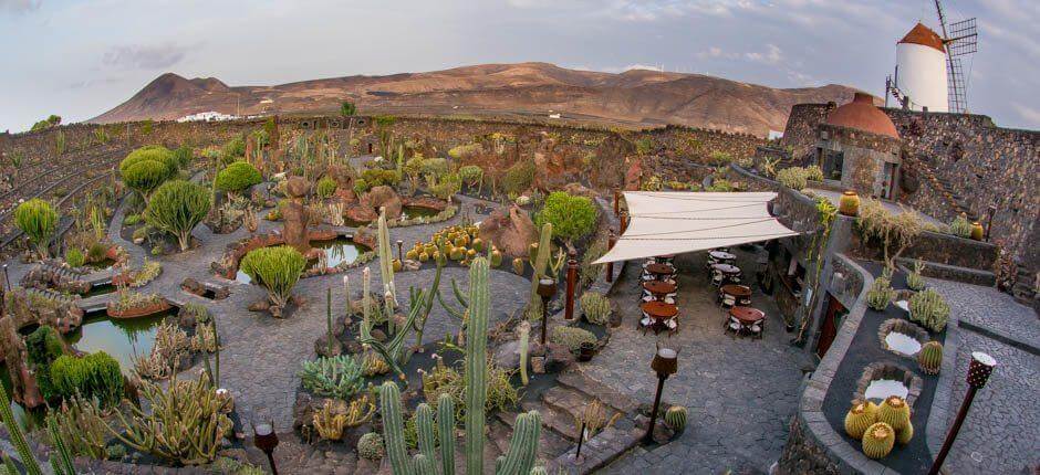 Kaktusová zahrada Muzea a turistická centra na Lanzarote