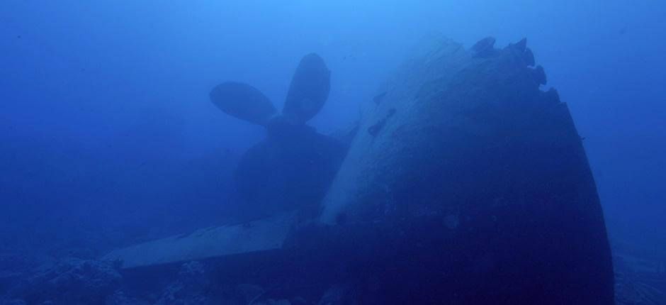 Bucear en el pecio ‘Kinder Island’, en Gran Canaria