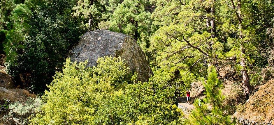 Caldera de Taburiente + Stezky de La Palma