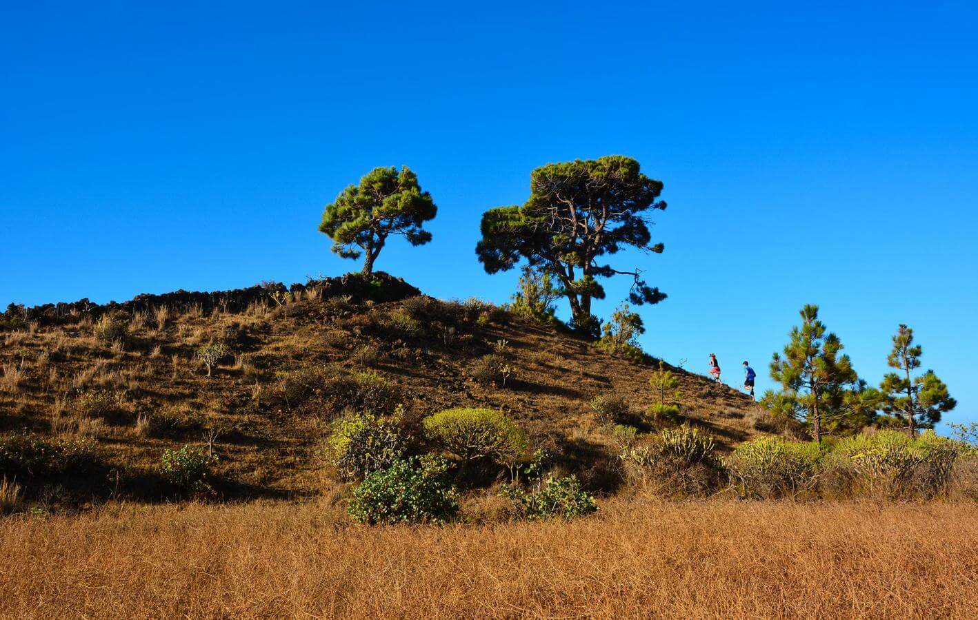 La Restinga-Trail