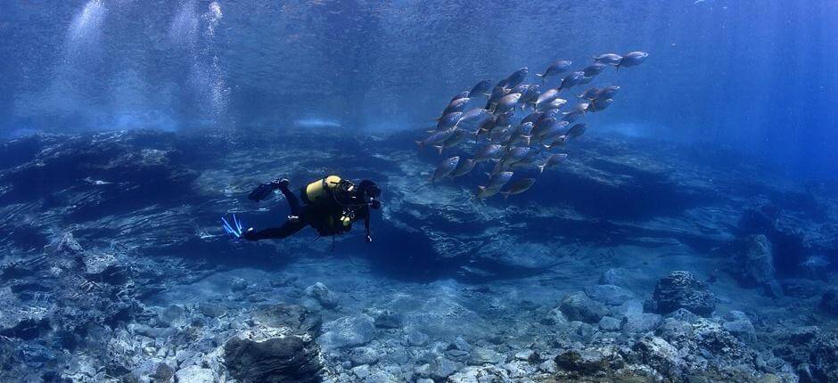 Bucear en montaña Amarilla, en Tenerife