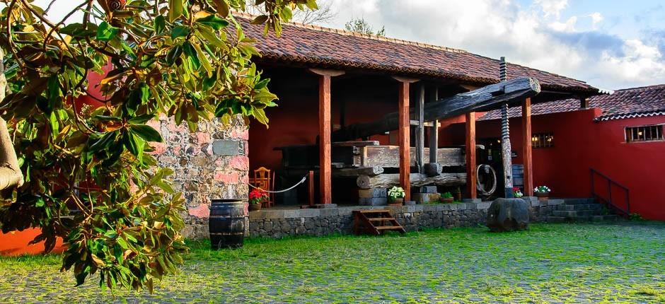 Dům vína a medu, Tenerife, Muzea a turistická centra na Tenerife