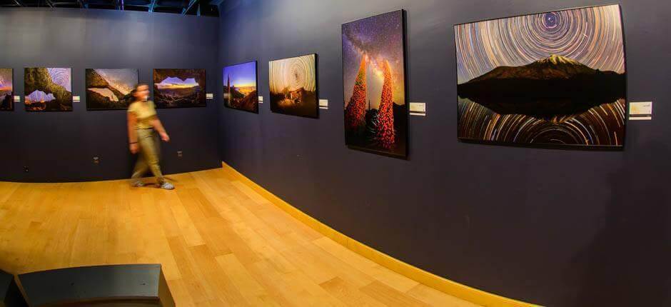 Museo Elder Muzea na Gran Canaria