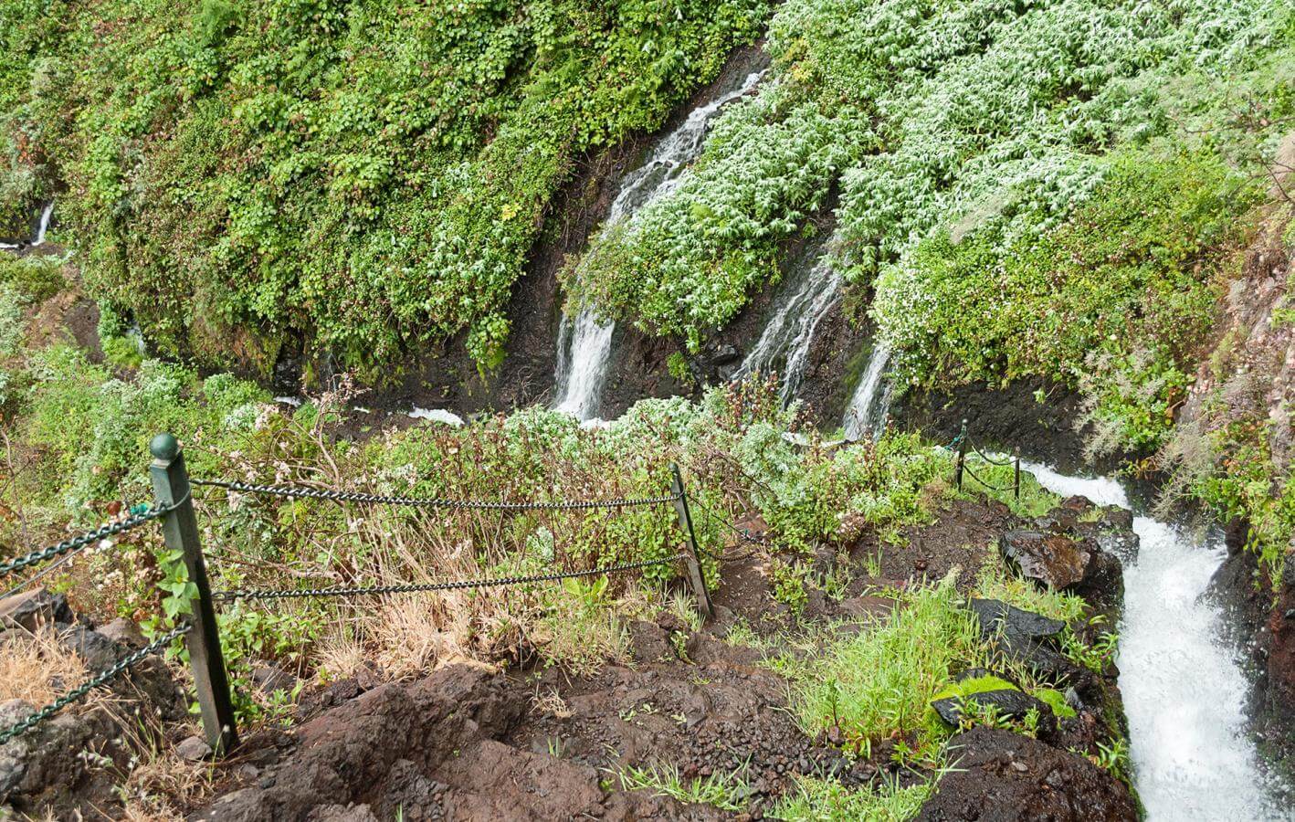 Marcos y Cordero. Senderos de La Palma