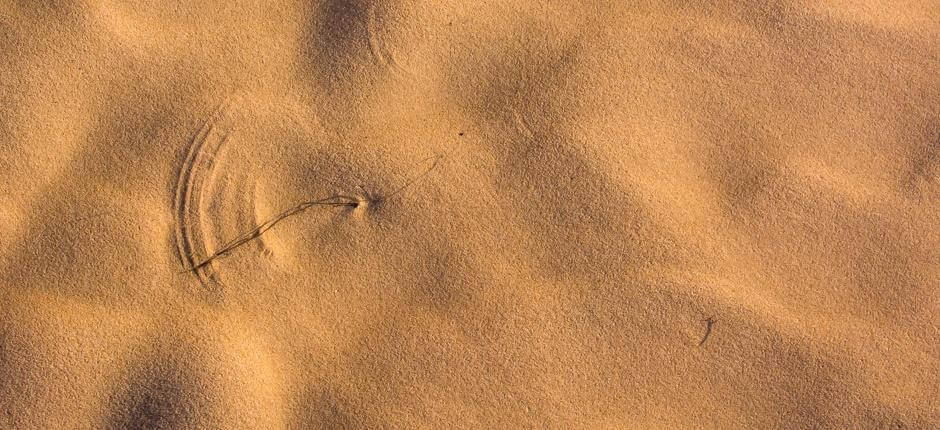 Parque Natural de Corralejo, en Fuerteventura