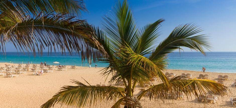 Playas de Morro Jable Playas populares de Fuerteventura