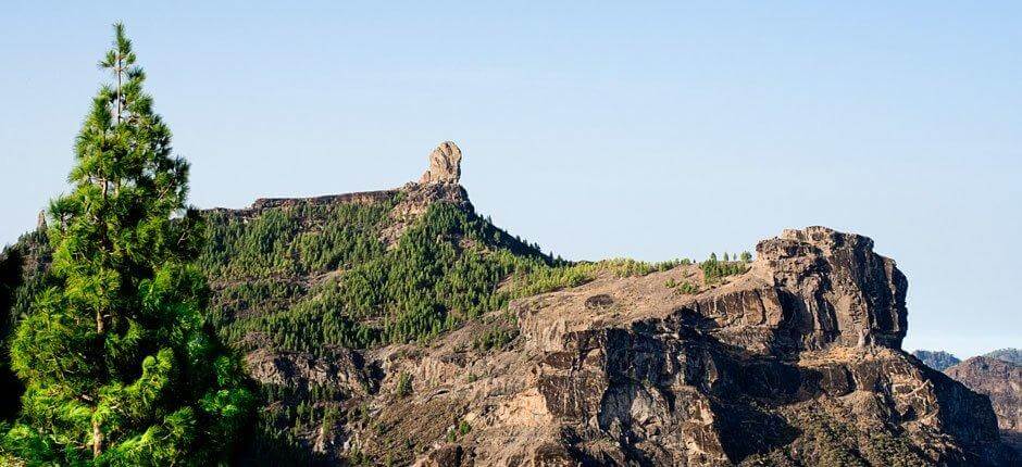 Roque Nublo + Stezky na Gran Canaria