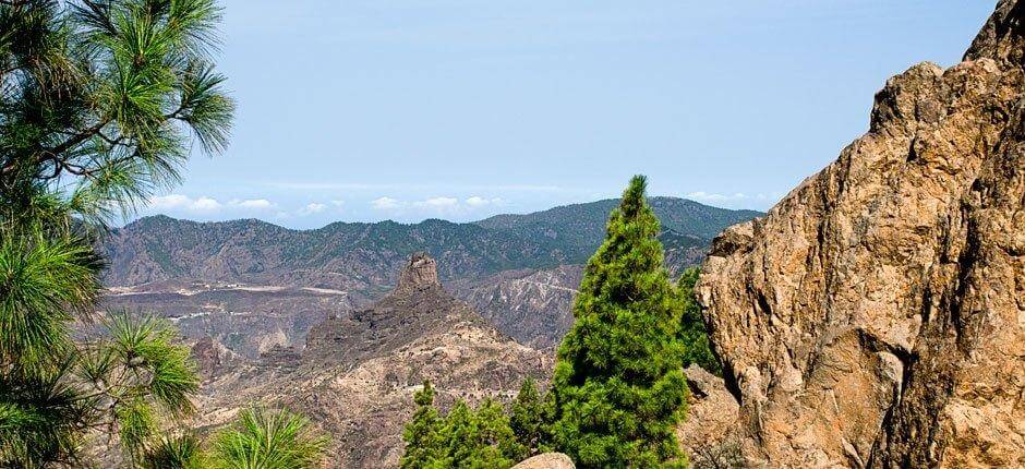 Roque Nublo + Stezky na Gran Canaria