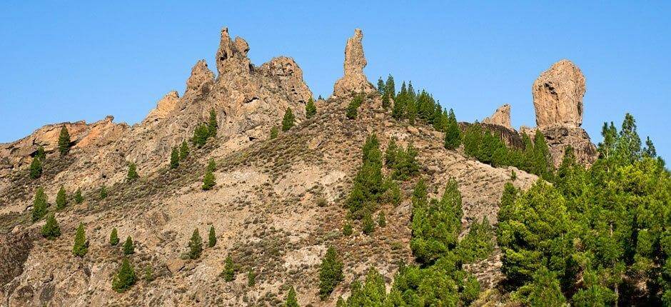 Roque Nublo + Stezky na Gran Canaria