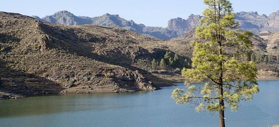 Turistický trasa přes přehrady Turistika na Gran Canaria