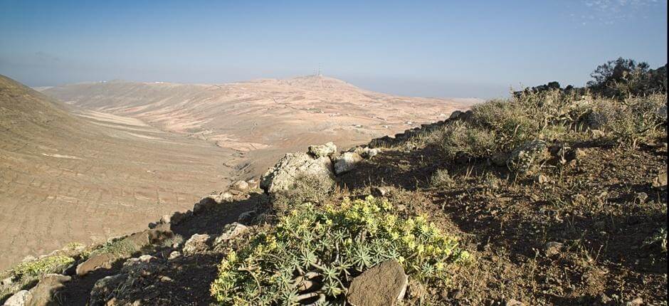 Vallebrón + Stezky na Fuerteventura