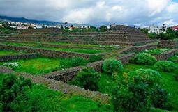 Puertito de Güímar